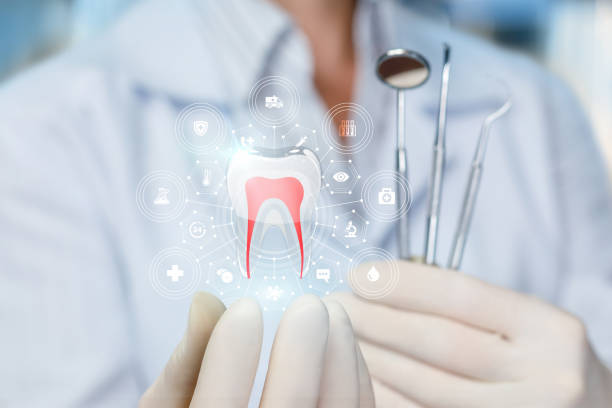 Professional Dental Services in Morris, MN