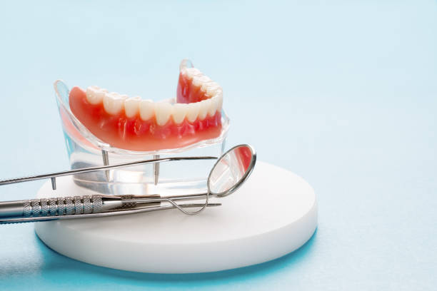Best Dental Fillings (Composite and Amalgam)  in Morris, MN